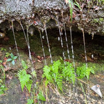自然に癒される🏞️