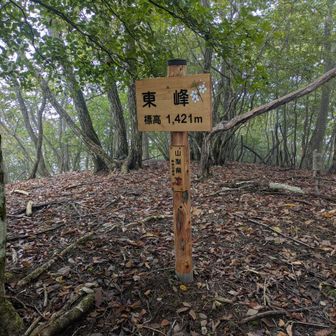 お坊山東峰山頂。
ちょっと補給して南尾根を降ります。