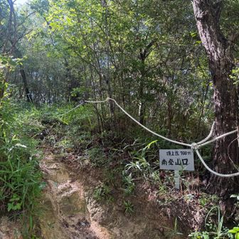 登山口