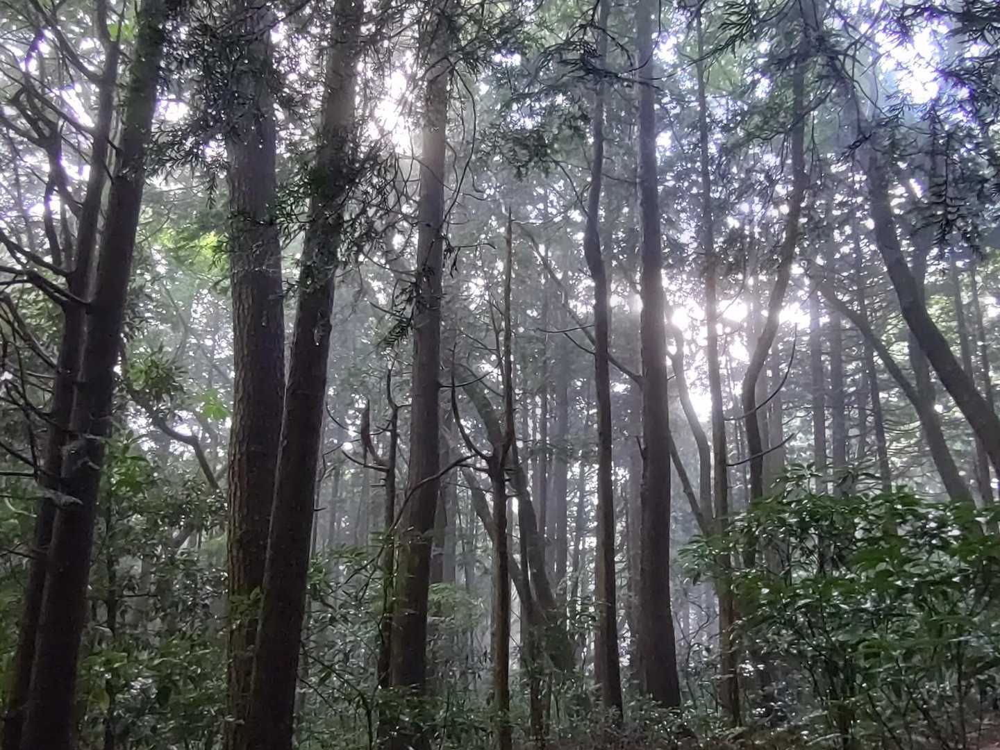 これから☀になるのでしょう✨