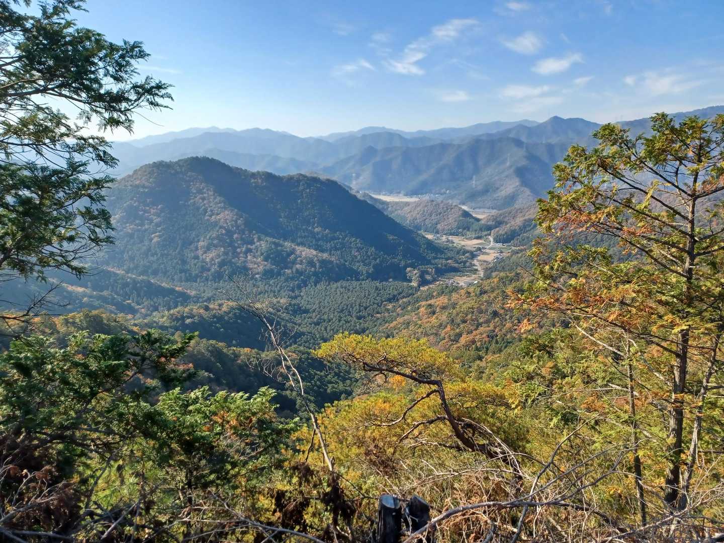 伐採された場所に登ると、景色良好😍