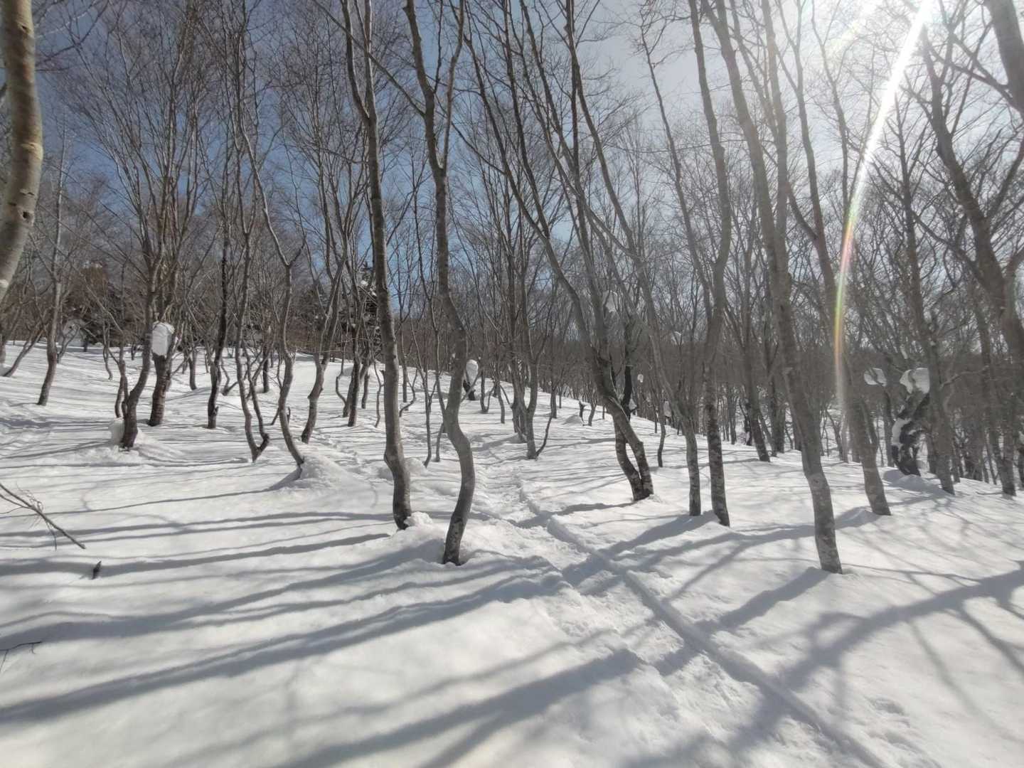 今日はお昼を山頂で食べる予定なのです😊