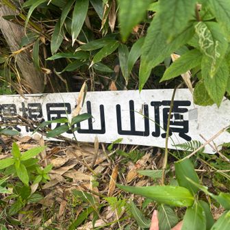樺戸山からは大きく降って登り返した先に山頂？と思わせぶりな看板😆