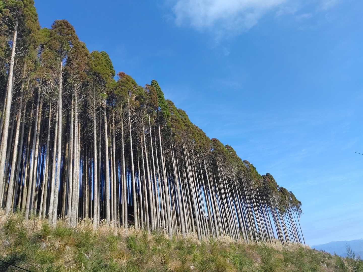 高千穂峰登山口-二子石 往復コースの写真