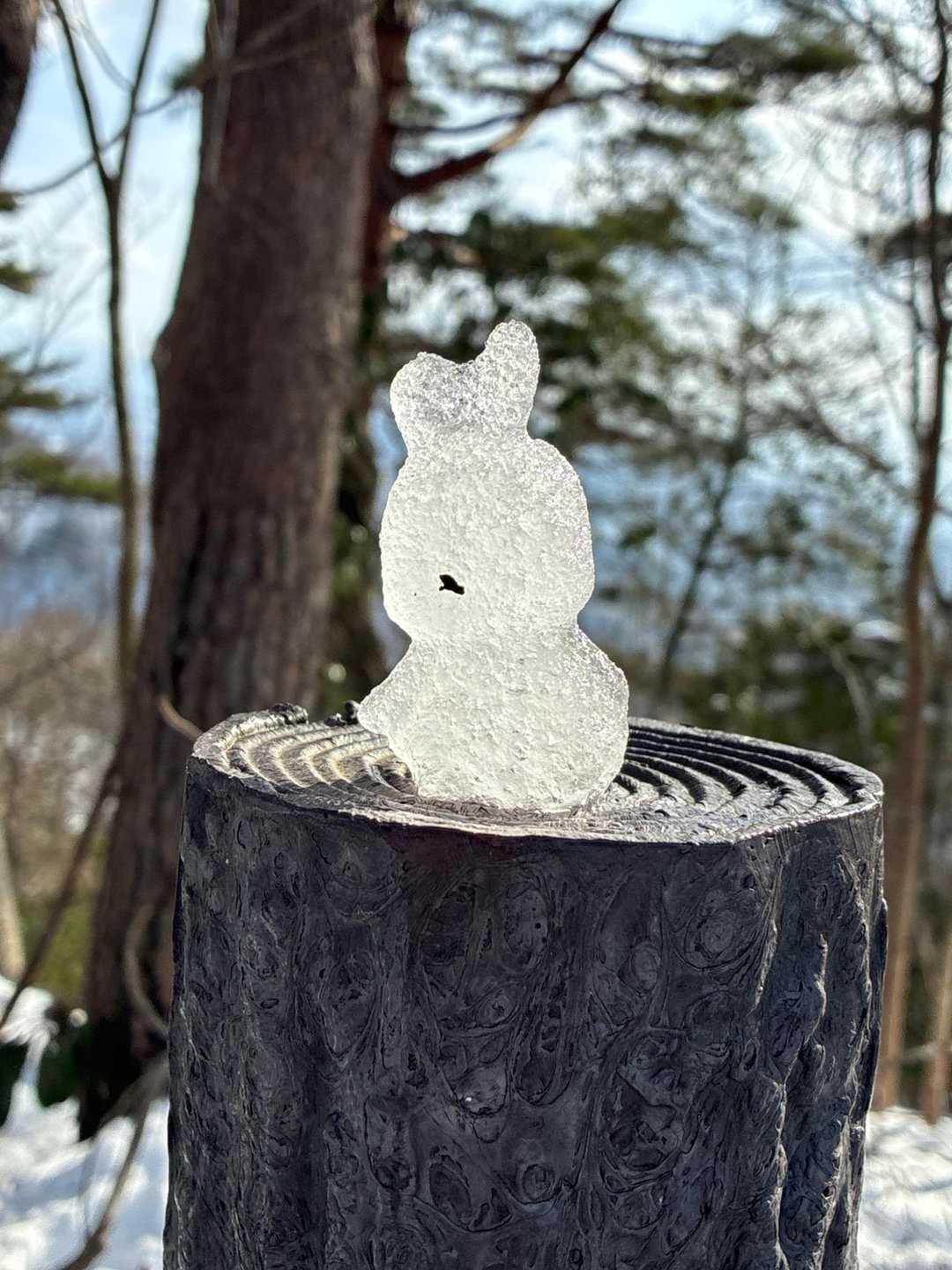 溶けてきたらクリスタルみたい✨✨