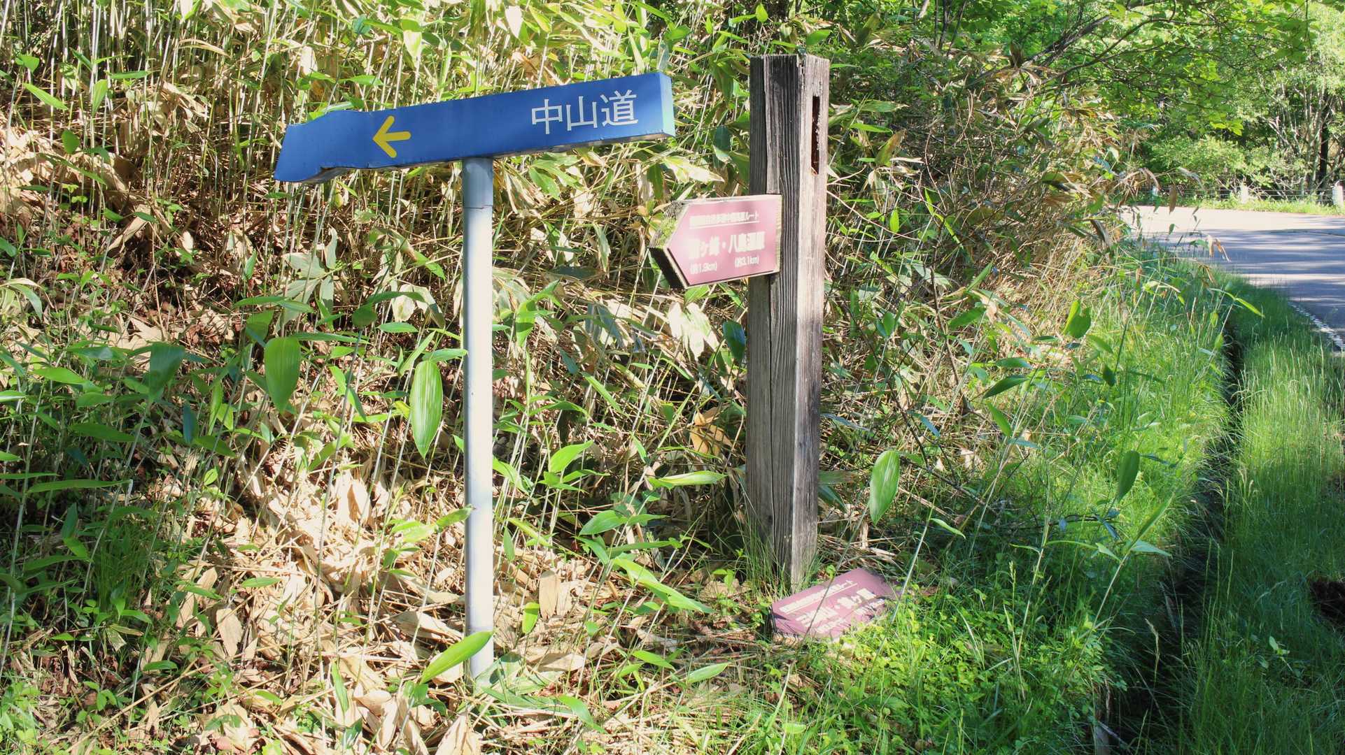 YAMAPの地図よりも50~60ｍ先に登山口　