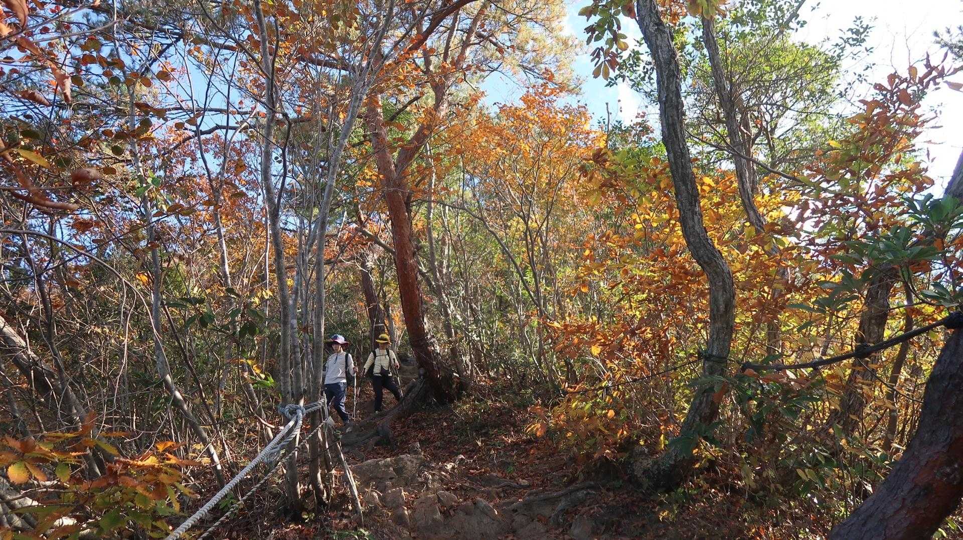 西ノ谷登山口-舟見平-鞍掛山-中ノ谷登山口 周回コースの写真