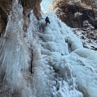リード頑張ってくれてます！