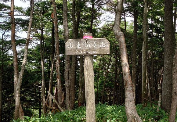 山王帽子山（栃木・2074m）| 登山ルート・天気 | YAMAP / ヤマップ