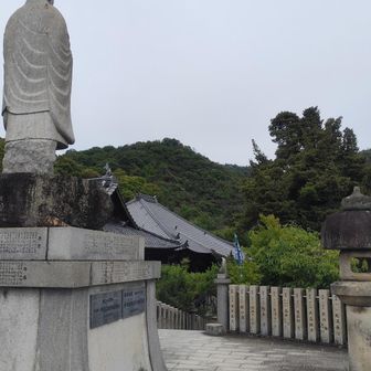寂光院展望台(本堂の屋根が見えてます)