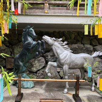 ポニーฅ•ω•ฅ