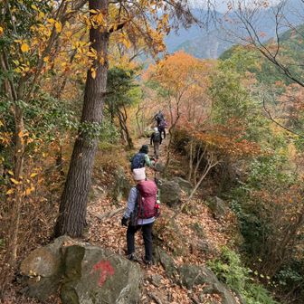 紅葉ピークは終わってるけど、まだキレイ✨落ち葉でフカフカロード🍂