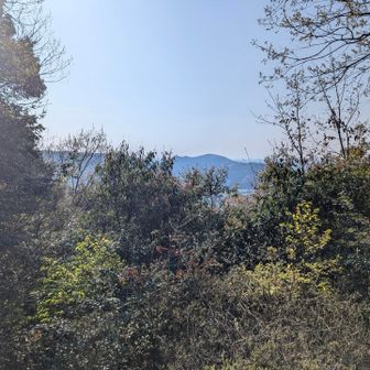 展望はこれだけ👀