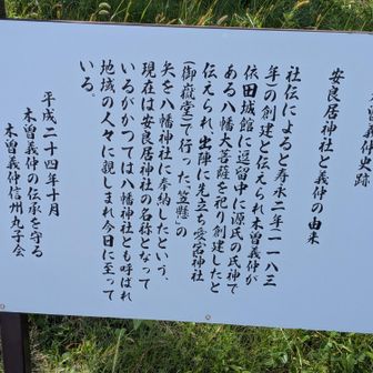 安良居神社は元八幡神社(創建は西暦１１８３年依田城館「丸子城」に逗留中に源氏の氏神である八幡大菩薩を祀り創建したと伝わる)出陣に先立ち愛宕神社(御嶽堂)で行った「笠懸」の矢を八幡神社(安良居神社)に奉納した。