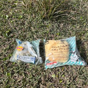 頂上の下の広い芝地で昼飯。芝地はシカのフンが多いので注意！