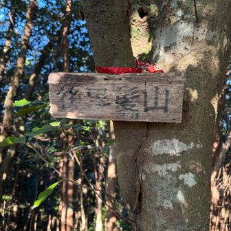 西峰
ここからは結構急な下り
木に捕まりながら下る