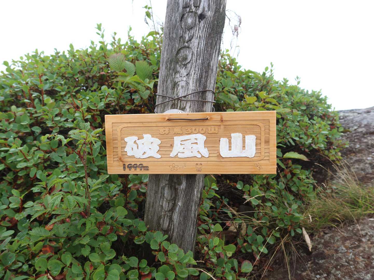 山頂到着、ガスで展望ゼロです😿