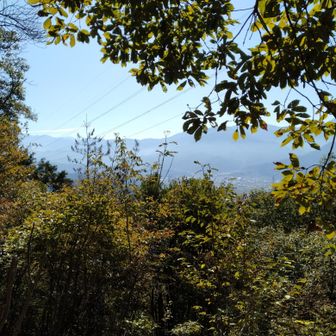 石鎚がきれいに見えた