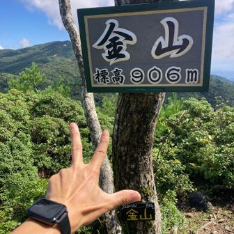 金山登頂💰