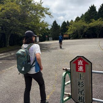 帰りは上杉尾根コースから下山します。