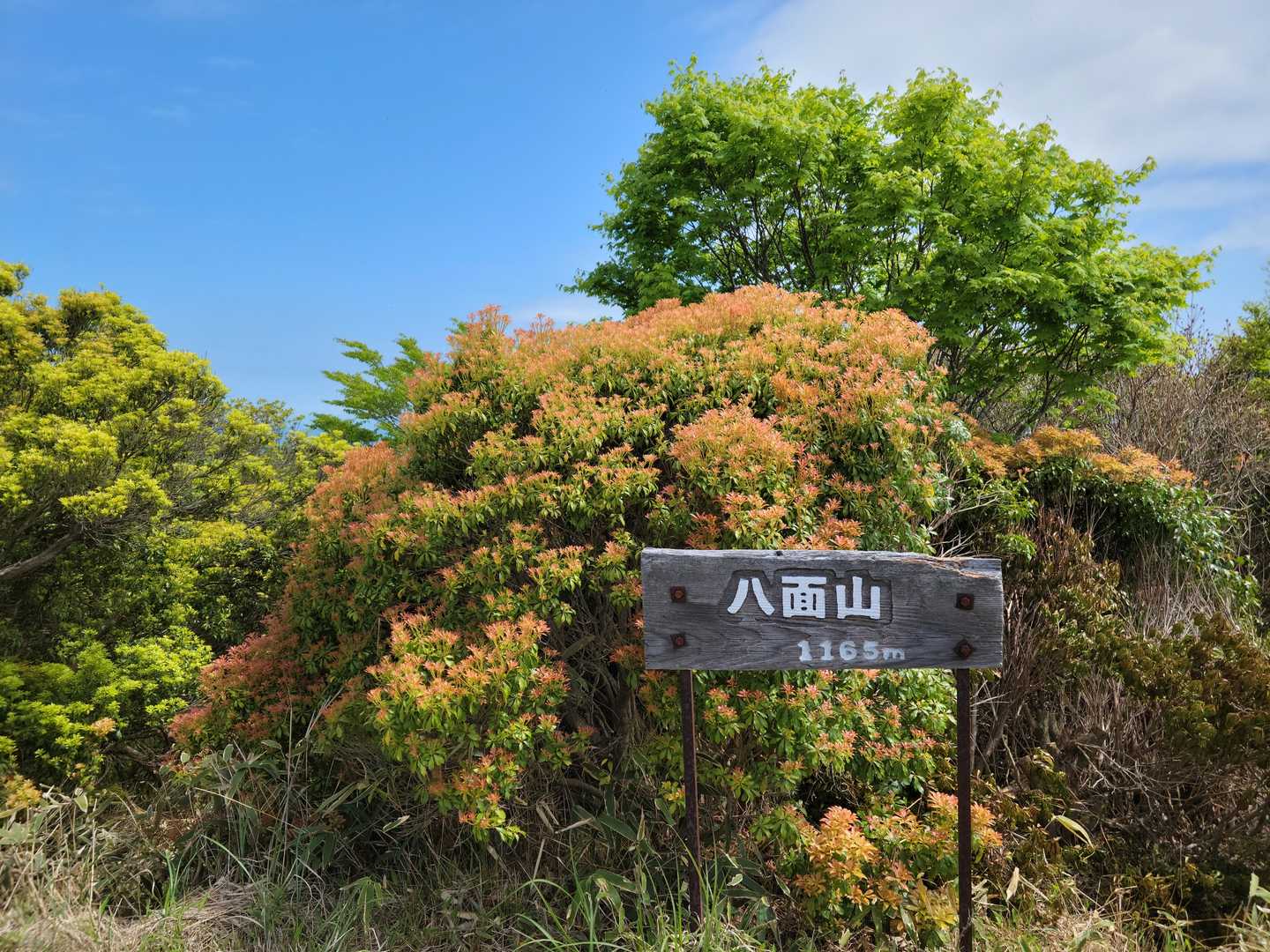 八面山
3座目ゲット⛰️
ヤツヅラヤマと読むそうです