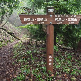 浅間峠に到着

昨年は、上野原市から三国山、生藤山に登り、この峠まで笹尾根を歩いて上川乗へと下山しました