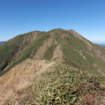 これから向かう仙ノ倉山は遠いです