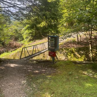 降りてきました。
おつかれ山でした⛰️