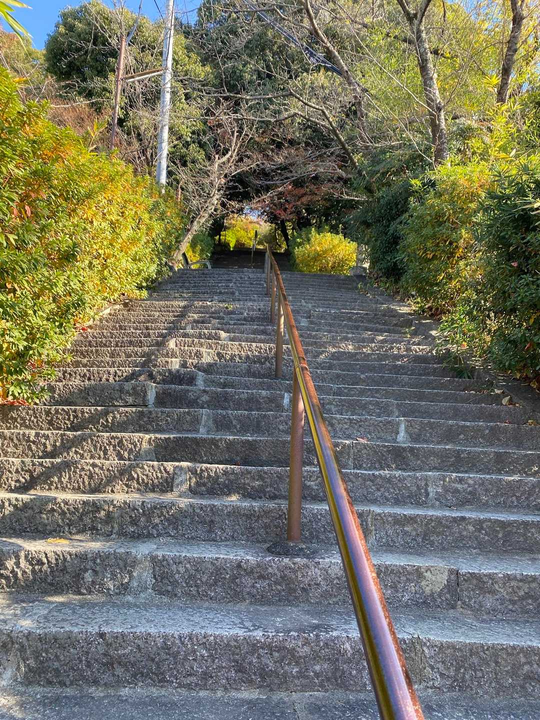 野崎観音の階段下りてゴール🏁