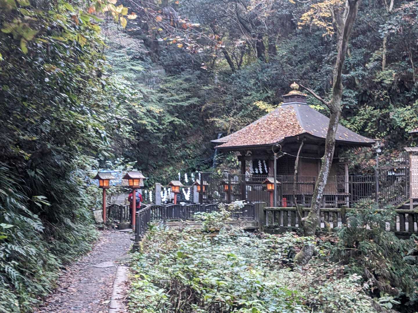 琵琶滝のお堂の屋根には少しの落ち葉。しかし周囲は緑ばかり。