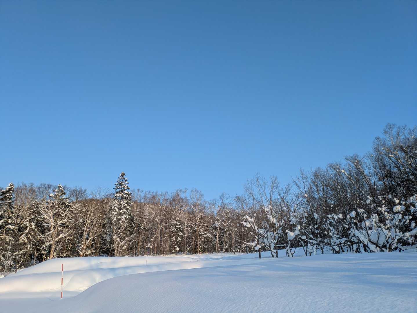 最後に　振り返ったら、夕日の反対側、青空と雪野原がキレイでした。