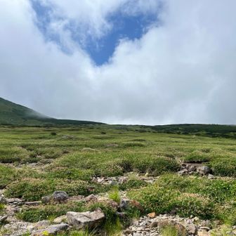 五色ヶ原は雲の平みたいな感じです