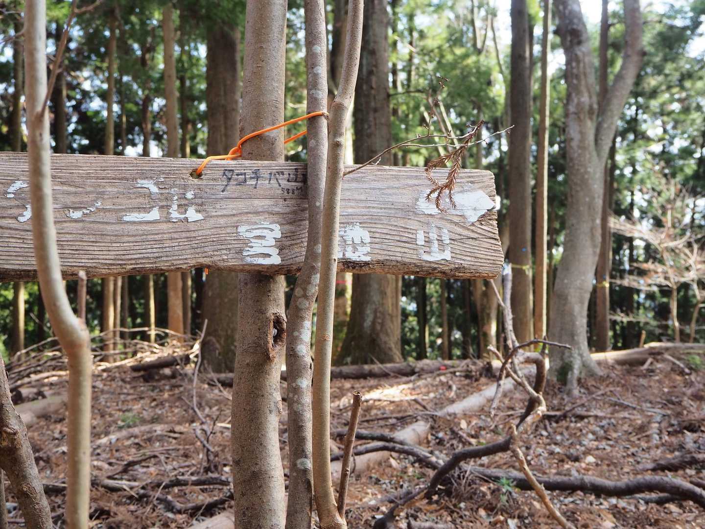 山頂であることを見逃してしまうようなタコチバ山到着　
次は今回の最高点シダンゴ山へ