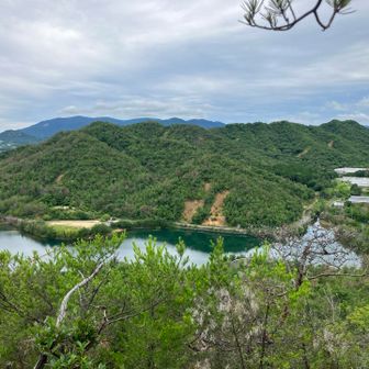 右に見えるはバラ園