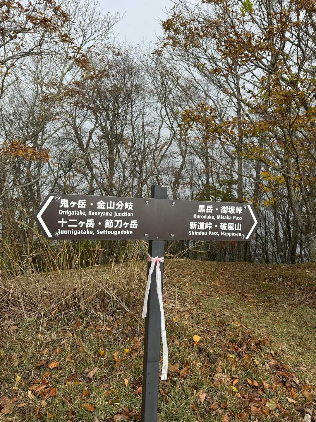 大石峠-大石峰山-金堀山-節刀ヶ岳 往復コースの写真