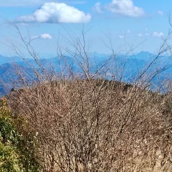 八面山⛰️、鹿嵐山⛰️方面