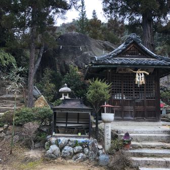 降りてきて　こちらで気持ちを整えて戻ります

今日も無事に楽しく歩けました👣
ありがとうございました♪