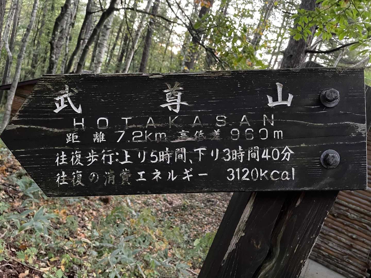 距離は長いしコースタイムも長いが、標高差がそれほどでもないのできっと緩やかな登りなのだろうと解釈している（というか、そう願っている🙏笑）