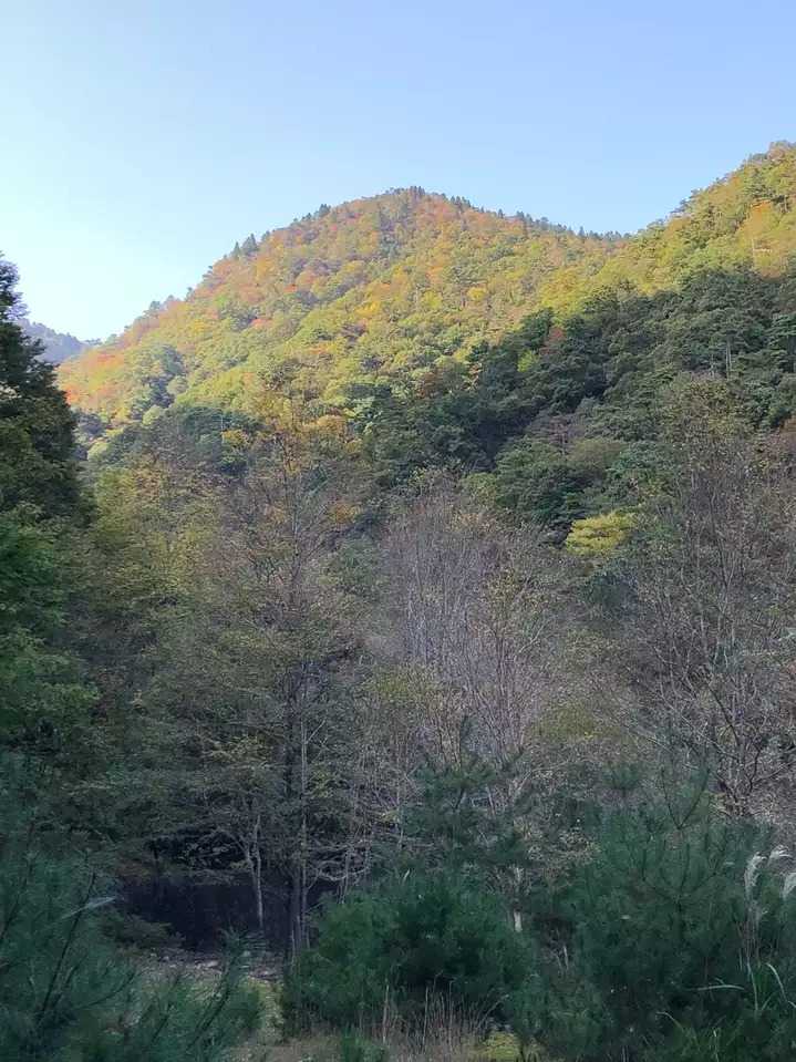 前山の写真