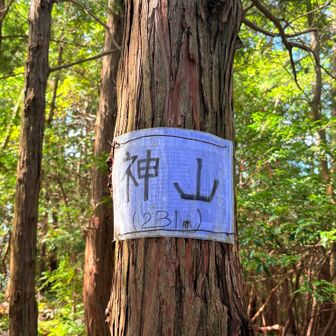 こちらも 裏紙  
ありがとうございます

やっぱなんか看板あると、達成感がありますよね🥰