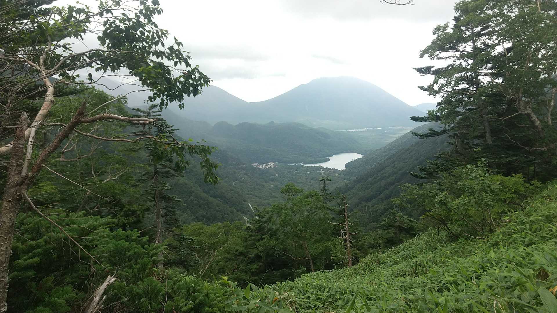 下って来たらガスは抜けました でも雨はまだ降ってます…予報では雨は降らないはずでした🧐