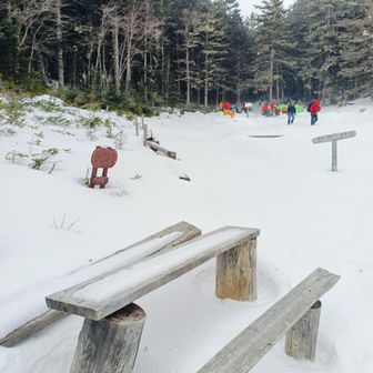 明るくなってきた