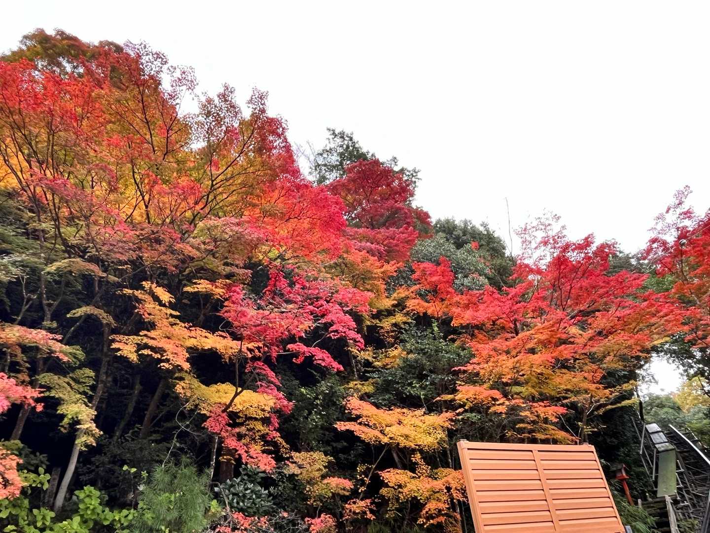 寂光院-継鹿尾山-石原登山口-大平山 縦走コースの写真