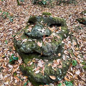 龍🐲🐉のお顔らしい。
見たかったものが見られたので帰ります😁