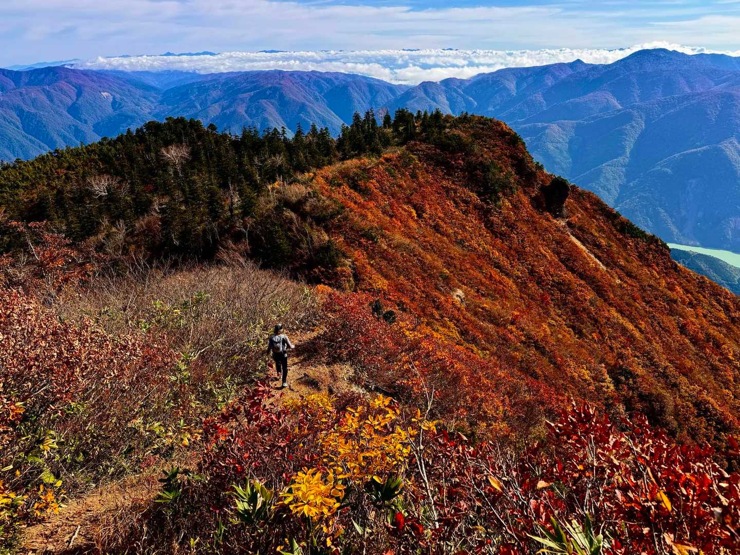 鶴平新道登山口-赤頭山-野谷荘司山-馬狩荘司山-三方岩岳 周回コースの写真