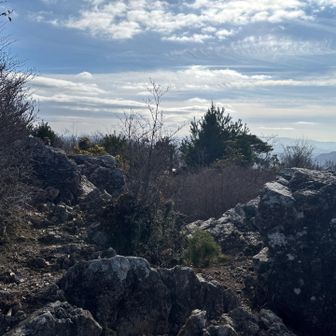 白髪山ピーク、結構広い