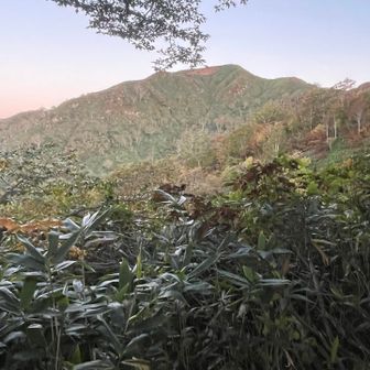 男性は白山まで縦走するらしい👍