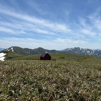 ぽつんと丹後の避難小屋🛖
絵になるこの風景が良い