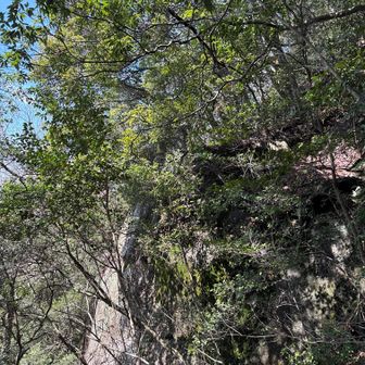 先ほどの道をまちがえて進むと崖で落ちるので注意