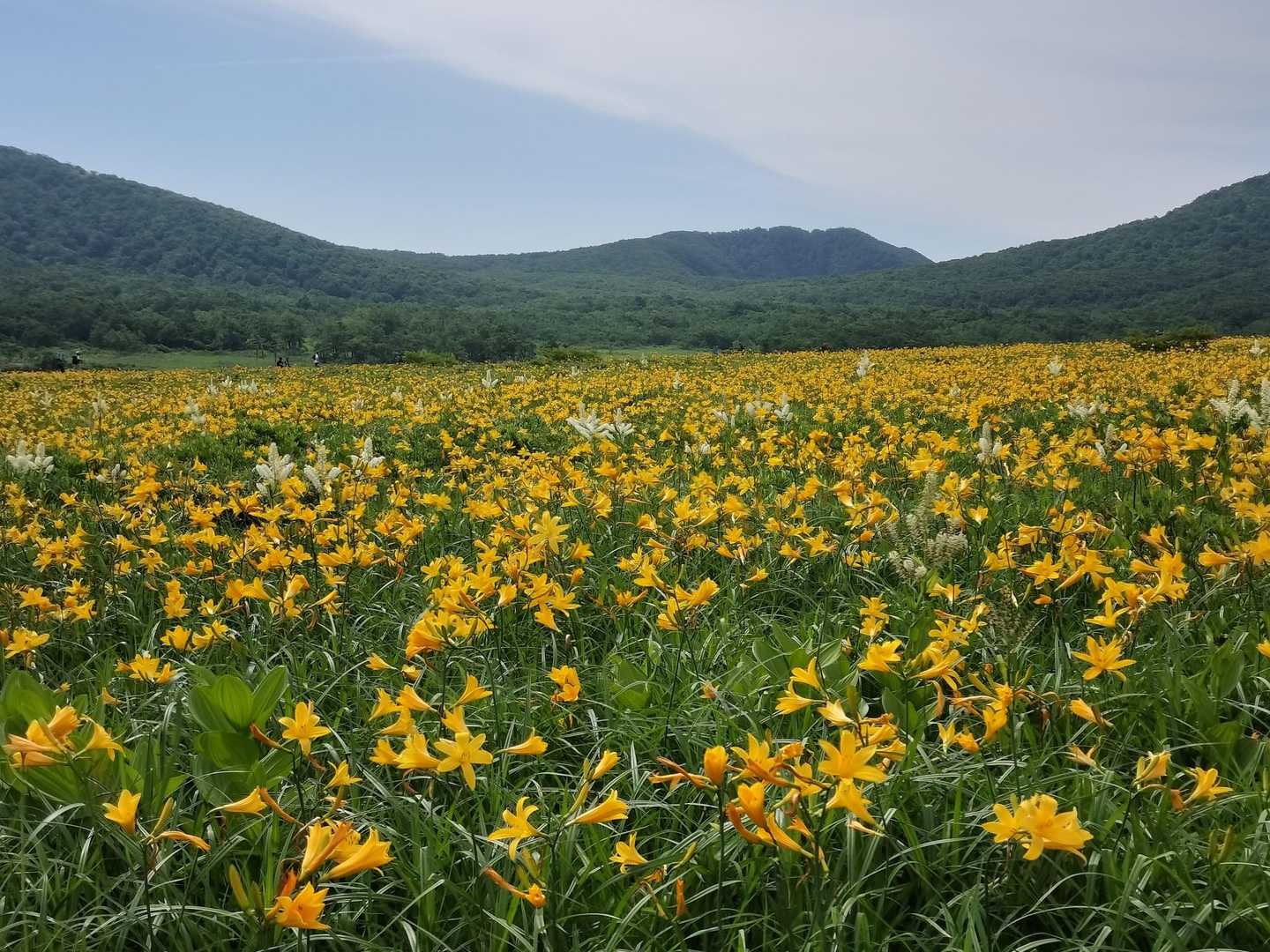 八方台登山口-猫魔ヶ岳 往復コースの写真